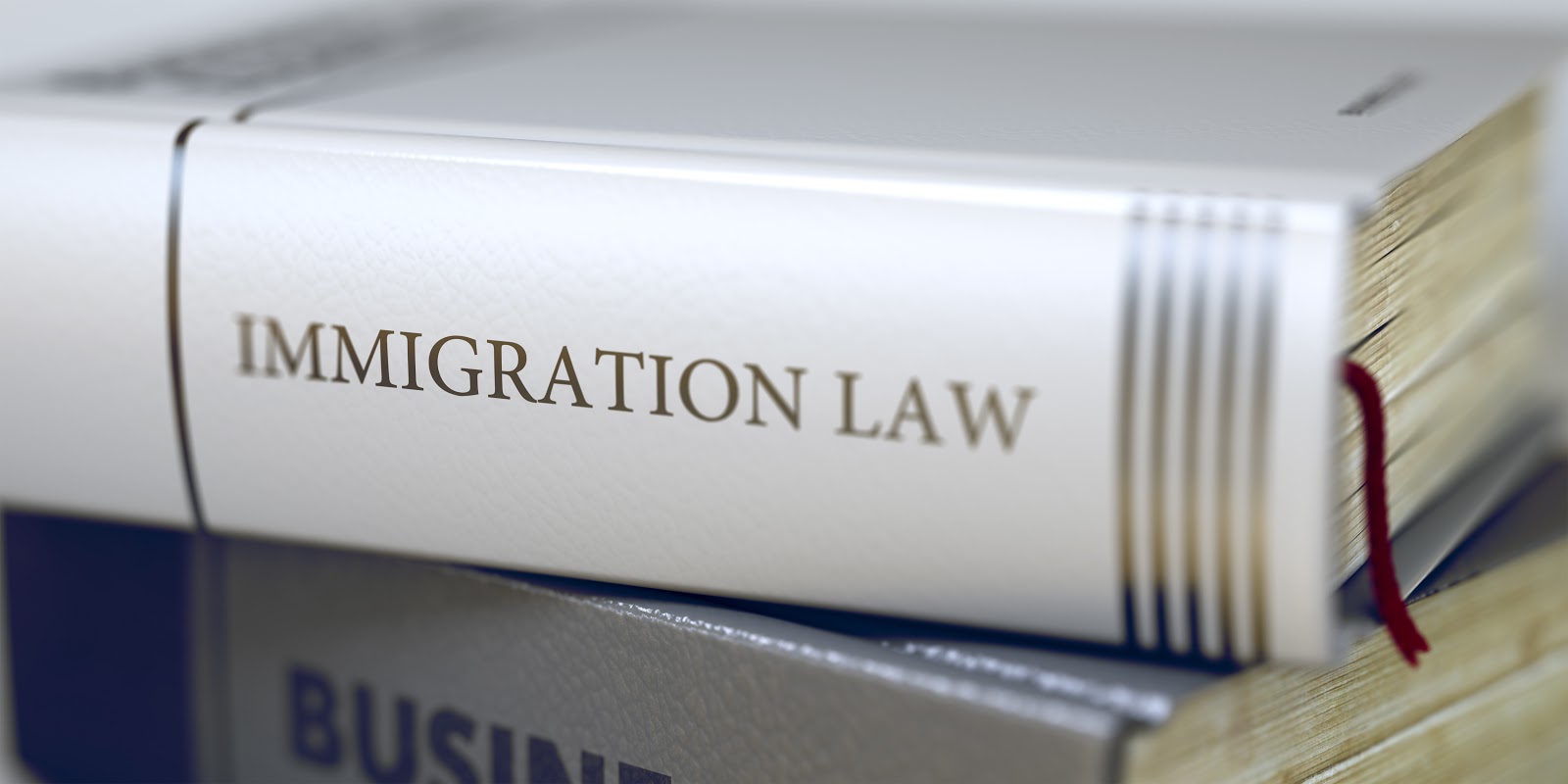 Book on immigration law